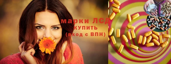 стафф Губаха