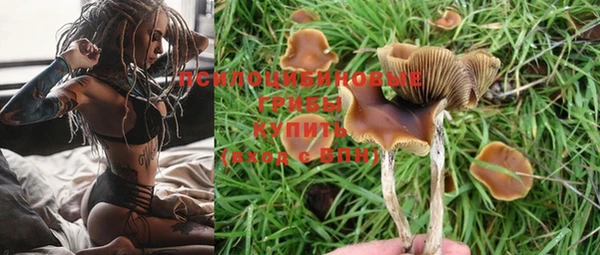 хмурый Пролетарск